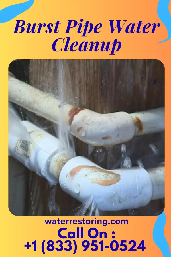 Burst Pipe Water Cleanup in Morris Plains, NJ