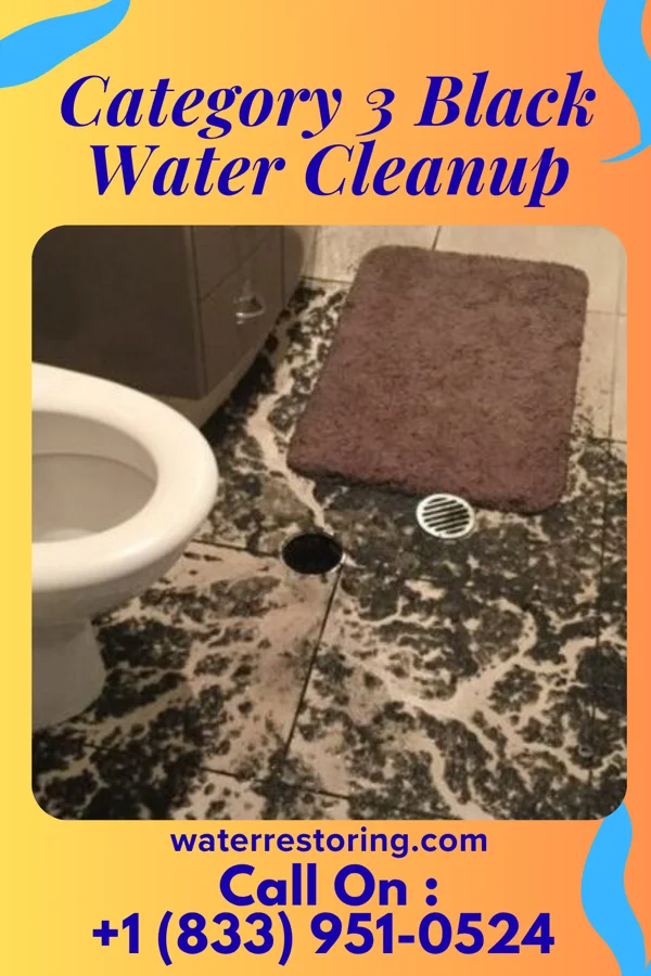 Category 3 Black Water Cleanup in Morris Plains, NJ