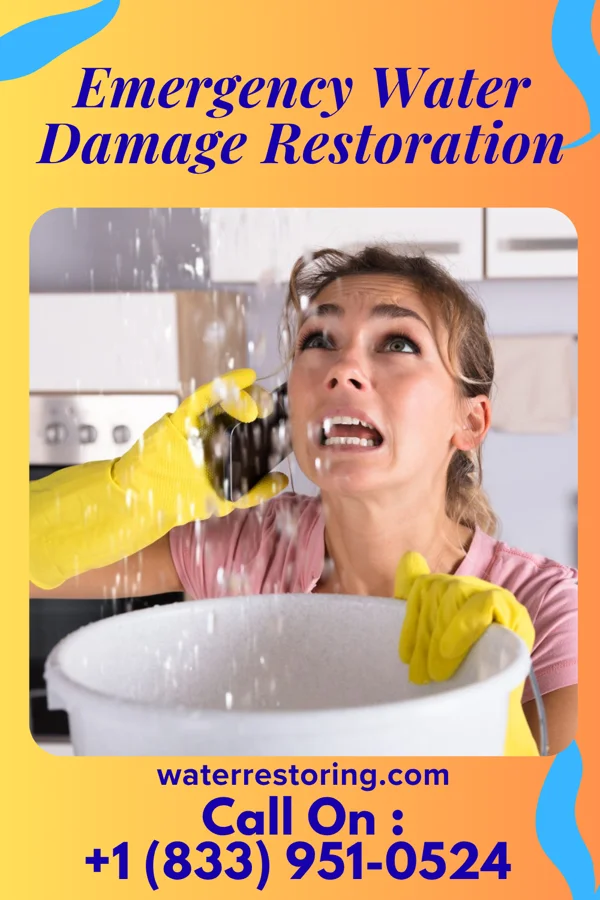 Emergency Water Damage Restoration in Morris Plains, NJ