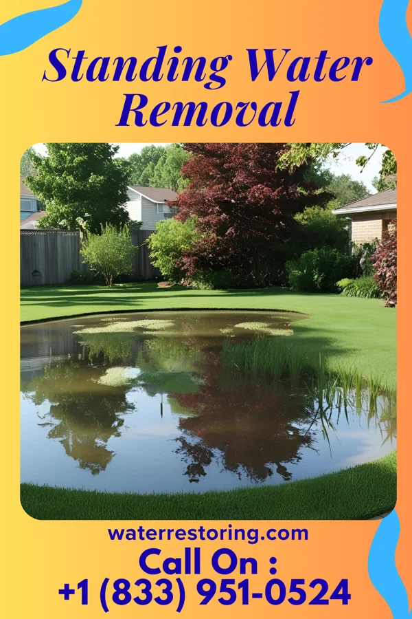 Standing Water Removal in Morris Plains, NJ